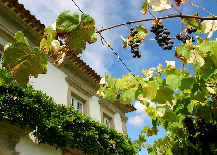 Casa Da Varzea Frühstückspension 3*