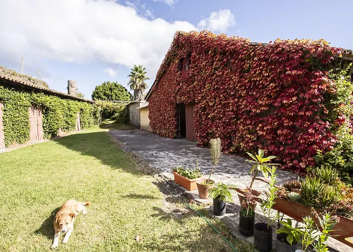 Casa Da Varzea Bed & Breakfast 3*